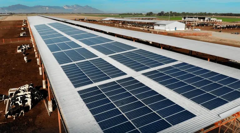 02-¿Por-qué-instalar-paneles-solares_-768x427.png