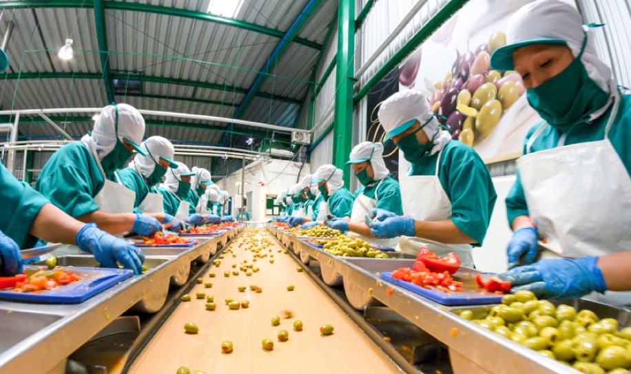 industria-alimentaria