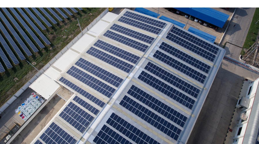 paneles-solares-inicia-una-revolucion-renovable