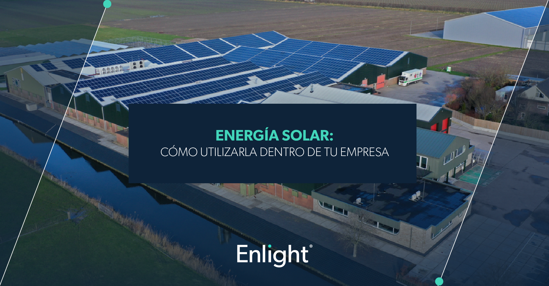 Energía solar: cómo utilizarla dentro de tu empresa - Enlight Paneles